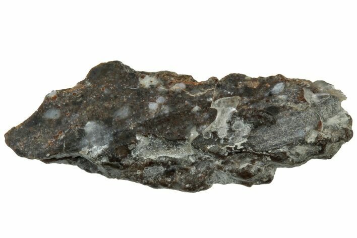Lunar Meteorite ( g) Section - Laayoune #313354